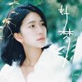 吴琳珂Moske - 失眠了(丰城Dj小江 Electro Rmx 国语女)