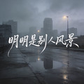 烟嗓青叔 凌奈 - 像梦一样(Dj培仔 Electro Rmx 国语合唱)