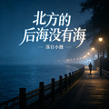 北方的后海没有海dj版
