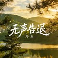 无声告退dj版