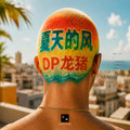 Dp龙猪 Swei水 Rays陈袁 - 风吹一夏(Dj阿呆 ProgHouse Rmx 国语合唱)