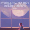 坡上老王-爱来爱去没结果(DJ道洋 Rmx 抖音DJ)车载版