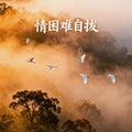 嘉欣 - 再见亦是泪(梅州Dj小东 Electro Rmx 粤语DJ)
