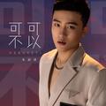朱添泽 - 想(Dj子君 FunkyHouse Rmx 国语男)