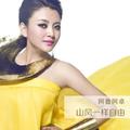 阿鲁阿卓 - 遇上你是我的缘(Ly Disco Rmx 国语女)