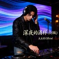 大头针 - 安妮(DjChotto ProgHouse Rmx 国语男)