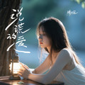 晴婉 - 说谎的爱人(Dj阿良  Electro Rmx 粤语DJ)Patry版