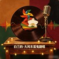 白兰的 - 红尘有你(Dj小杨 Electro Rmx 国语男)