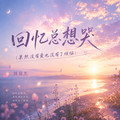 回忆总想哭dj版
