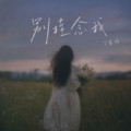丁家怡 - 不能成情人(Dj奶盖 Electro Rmx 粤语DJ)